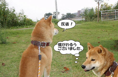 ファイル 131-1.jpg